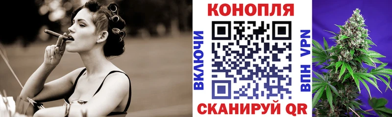 Конопля OG Kush Асино